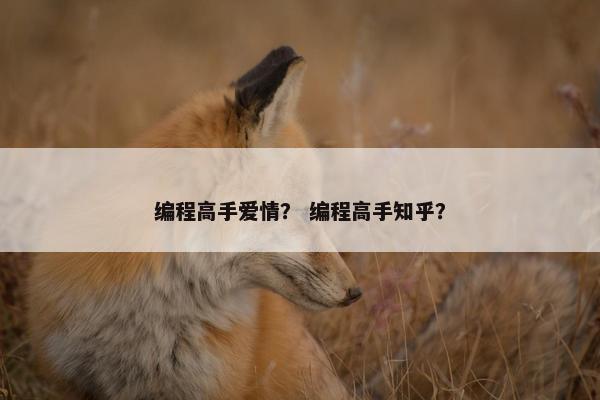 编程高手爱情？ 编程高手知乎？