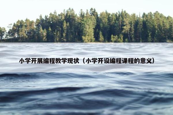 小学开展编程教学现状（小学开设编程课程的意义）