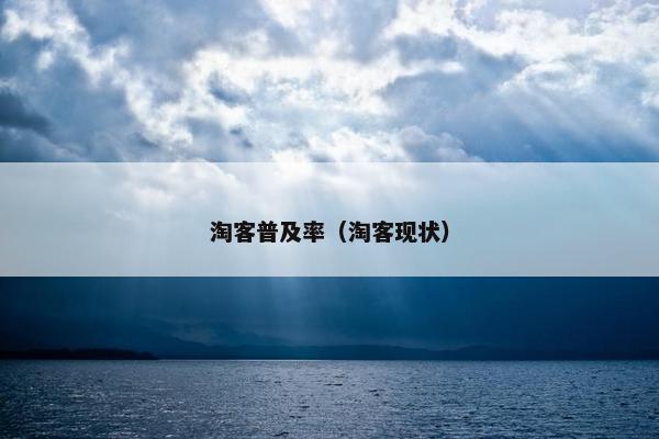 淘客普及率（淘客现状）
