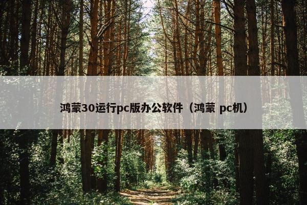鸿蒙30运行pc版办公软件（鸿蒙 pc机）