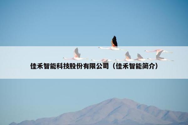 佳禾智能科技股份有限公司（佳禾智能简介）