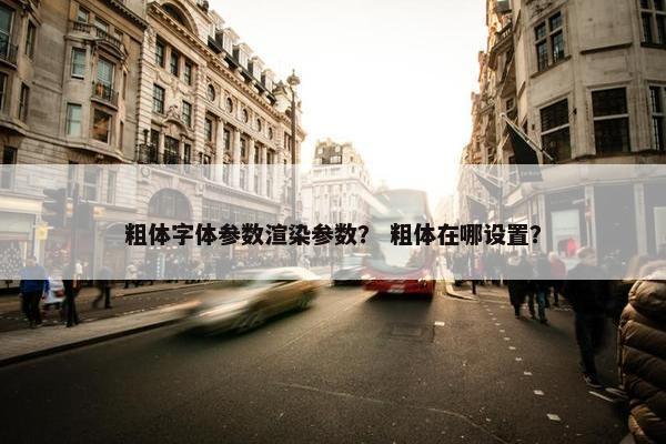 粗体字体参数渲染参数？ 粗体在哪设置？