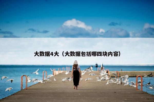 大数据4大（大数据包括哪四块内容）