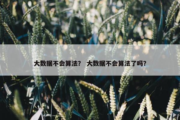 大数据不会算法？ 大数据不会算法了吗？