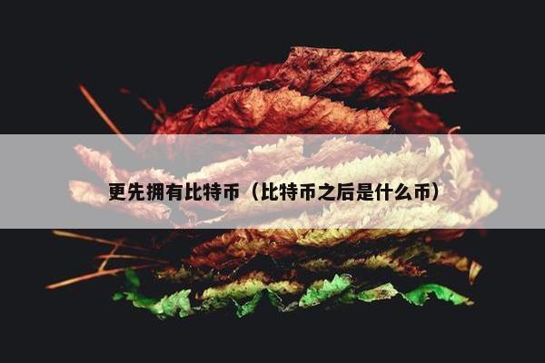 更先拥有比特币（比特币之后是什么币）