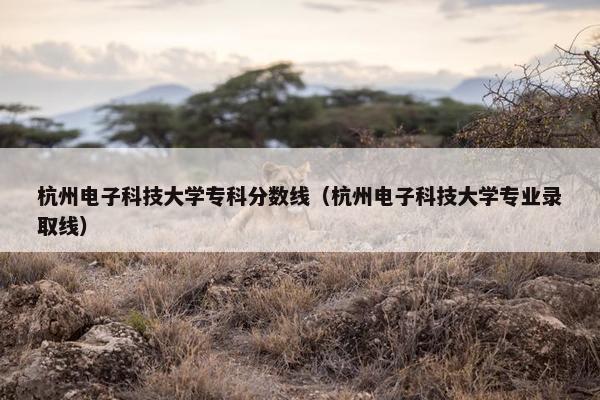 杭州电子科技大学专科分数线（杭州电子科技大学专业录取线）