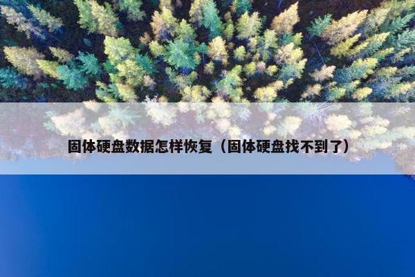 固体硬盘数据怎样恢复（固体硬盘找不到了）
