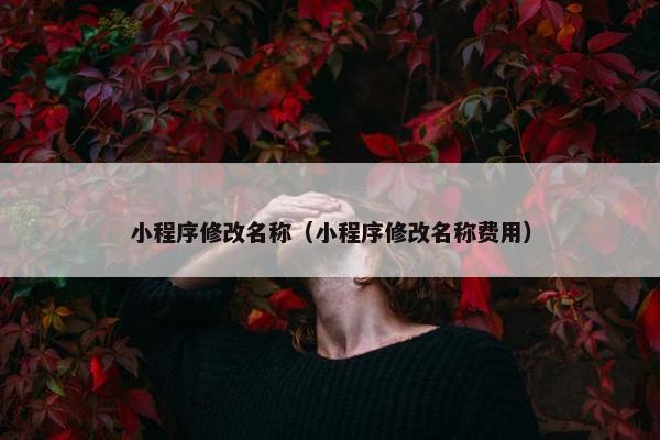 小程序修改名称（小程序修改名称费用）