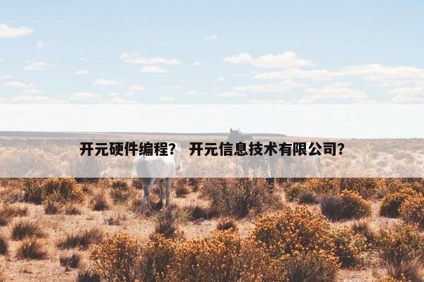 开元硬件编程？ 开元信息技术有限公司？