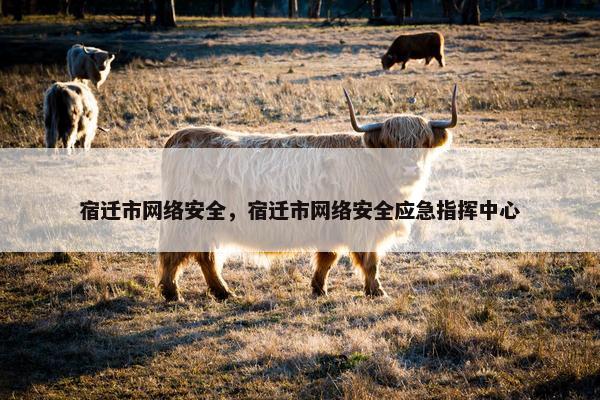 宿迁市网络安全，宿迁市网络安全应急指挥中心