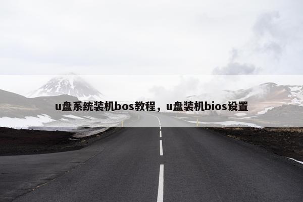 u盘系统装机bos教程，u盘装机bios设置