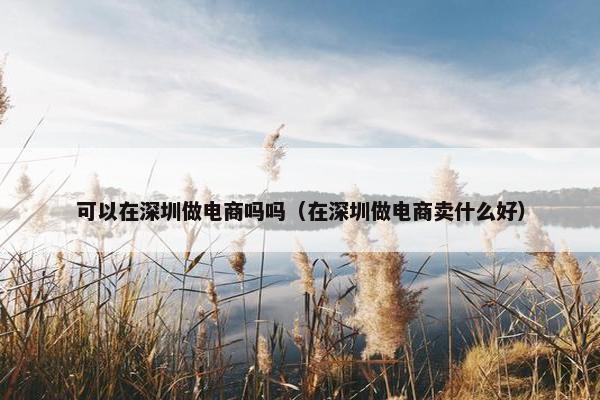 可以在深圳做电商吗吗（在深圳做电商卖什么好）