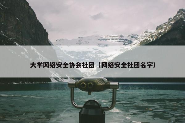 大学网络安全协会社团（网络安全社团名字）