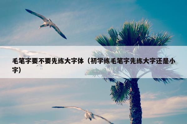 毛笔字要不要先练大字体（初学练毛笔字先练大字还是小字）