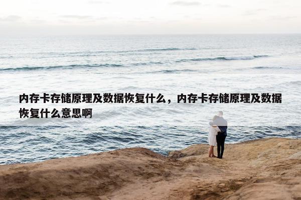内存卡存储原理及数据恢复什么，内存卡存储原理及数据恢复什么意思啊