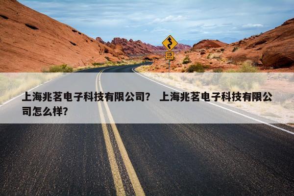 上海兆茗电子科技有限公司？ 上海兆茗电子科技有限公司怎么样？