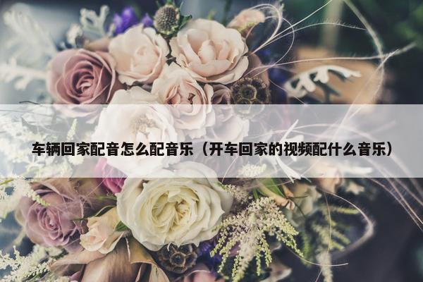 车辆回家配音怎么配音乐（开车回家的视频配什么音乐）