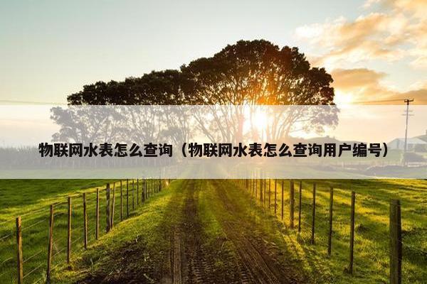 物联网水表怎么查询（物联网水表怎么查询用户编号）