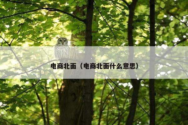 电商北面（电商北面什么意思）