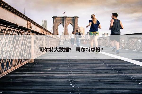 司尔特大数据？ 司尔特季报？