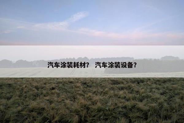 汽车涂装耗材？ 汽车涂装设备？