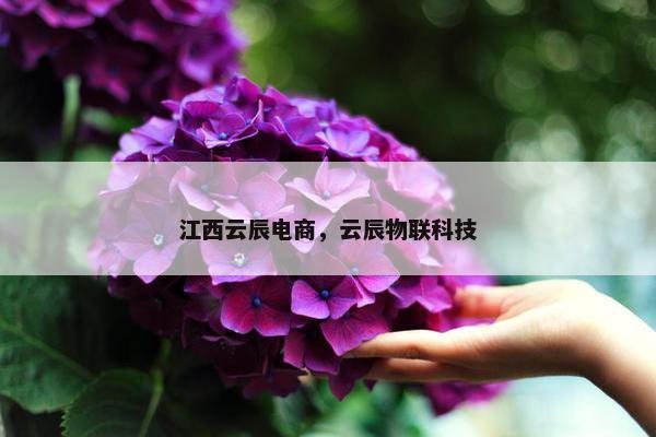 江西云辰电商，云辰物联科技