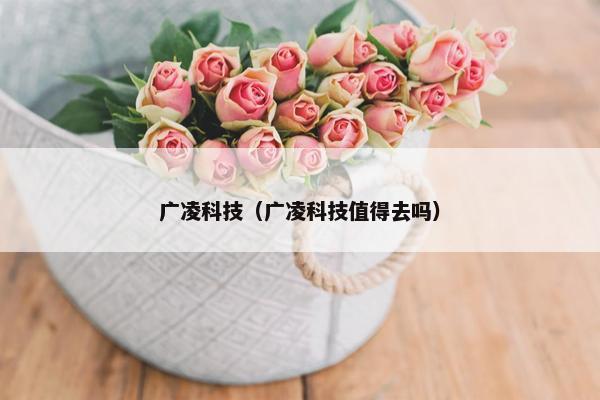 广凌科技（广凌科技值得去吗）