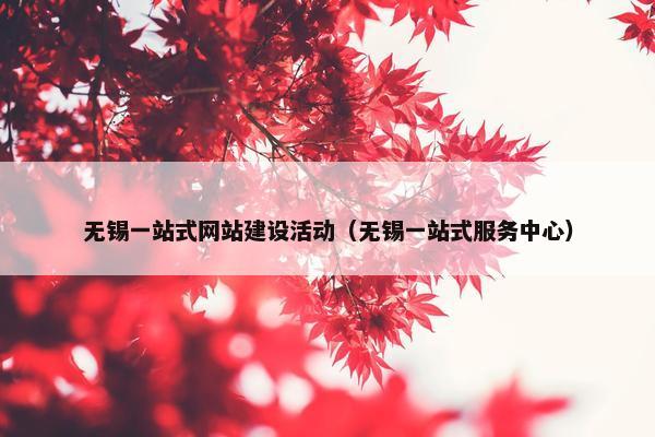 无锡一站式网站建设活动（无锡一站式服务中心）