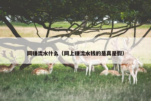 网赚流水什么（网上赚流水钱的是真是假）