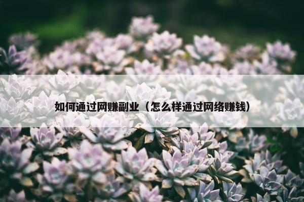 如何通过网赚副业（怎么样通过网络赚钱）