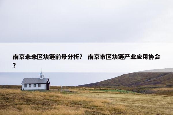 南京未来区块链前景分析？ 南京市区块链产业应用协会？
