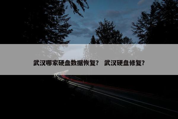 武汉哪家硬盘数据恢复？ 武汉硬盘修复？