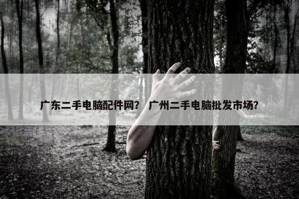 广东二手电脑配件网？ 广州二手电脑批发市场？