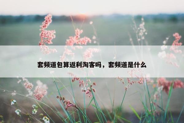 套频道包算返利淘客吗，套频道是什么