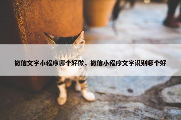 微信文字小程序哪个好做，微信小程序文字识别哪个好
