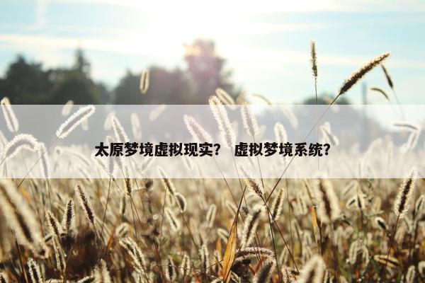 太原梦境虚拟现实？ 虚拟梦境系统？