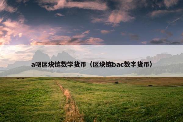a呗区块链数学货币（区块链bac数字货币）