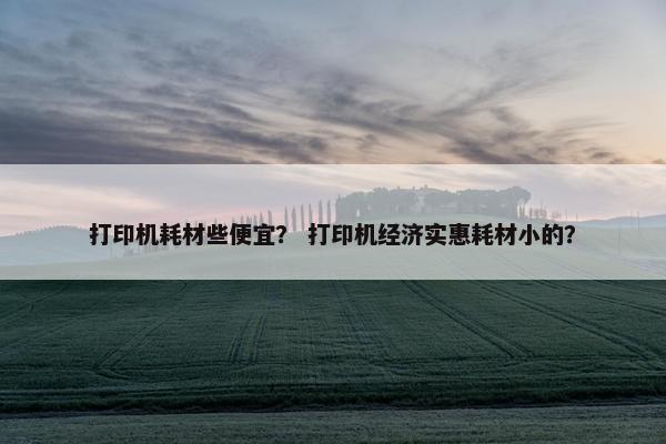 打印机耗材些便宜？ 打印机经济实惠耗材小的？
