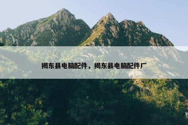 揭东县电脑配件，揭东县电脑配件厂