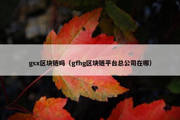 gsx区块链吗（gfhg区块链平台总公司在哪）