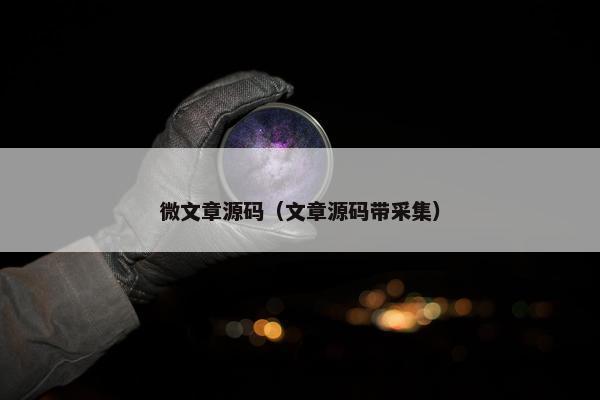 微文章源码（文章源码带采集）