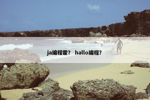 ja编程霍？ hallo编程？