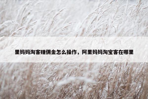 里妈妈淘客赚佣金怎么操作，阿里妈妈淘宝客在哪里