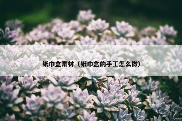 纸巾盒素材（纸巾盒的手工怎么做）