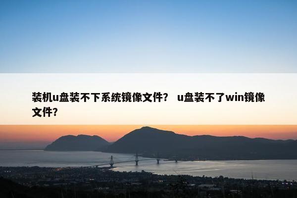 装机u盘装不下系统镜像文件？ u盘装不了win镜像文件？