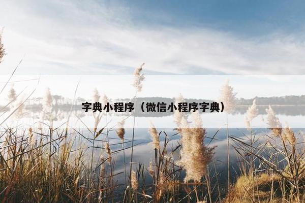 字典小程序（微信小程序字典）