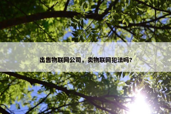出售物联网公司，卖物联网犯法吗?