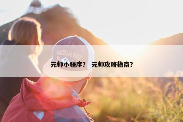 元帅小程序？ 元帅攻略指南？
