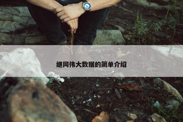 继同伟大数据的简单介绍