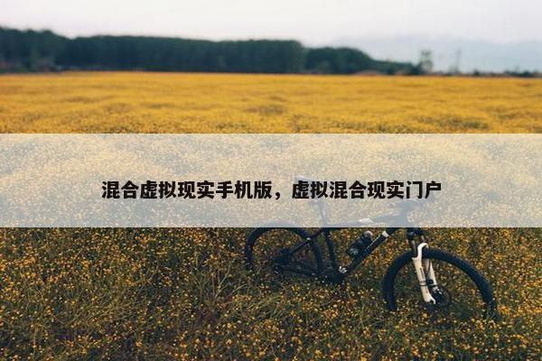 混合虚拟现实手机版，虚拟混合现实门户